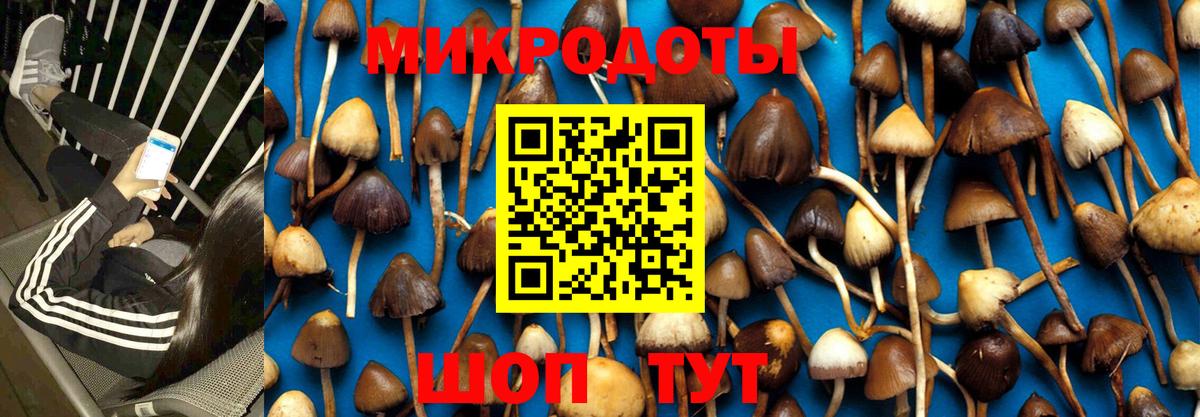 Псилоцибиновые грибы Magic Shrooms  Вход с VPN  Псилоцибиновые грибы мухоморы  Бузулук 